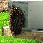 2011-06-03 09