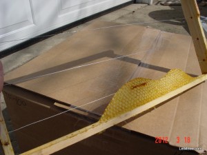 2012-03-18 Bee Comb foundation Drone Comb 01