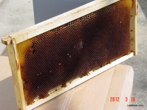 2012-03-18 Bee Comb foundation Drone Comb 09