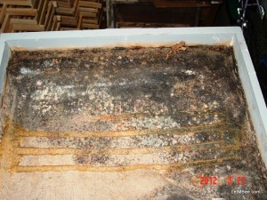 2012-03-23 Bee Trap Loading Attic Boxes 12