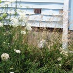 2012-07-07 001