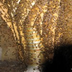 2012-07-07 07