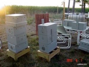 2012-08-01 Bee 03