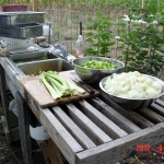 Using the outdoor sink to prepare the ingredients for chicken broth.