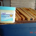 Just prior to petroleum jelly treatment.