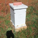 2012-10-25 Bee Deer stands and smoker fuel 10